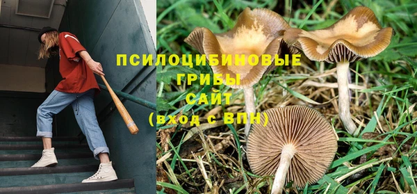 первитин Богданович