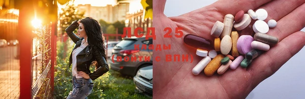 первитин Богданович