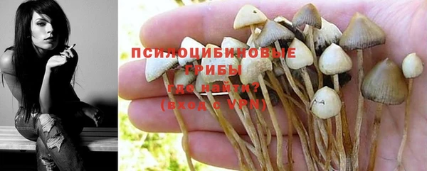 прущий лед Богородицк