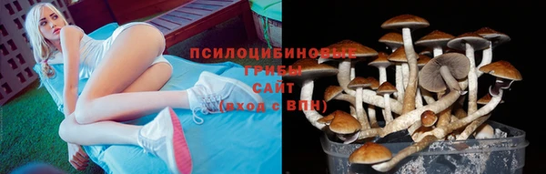 трава Богородск