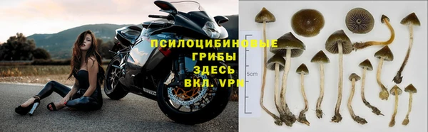 трава Богородск