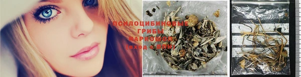 прущий лед Богородицк