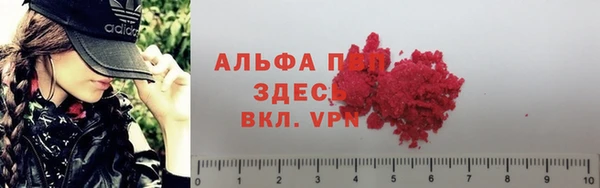 первитин Богданович