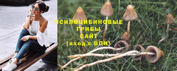 прущий лед Богородицк
