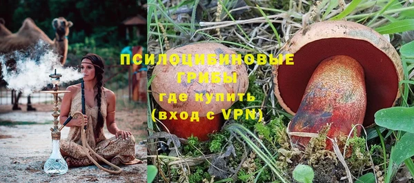 первитин Богданович