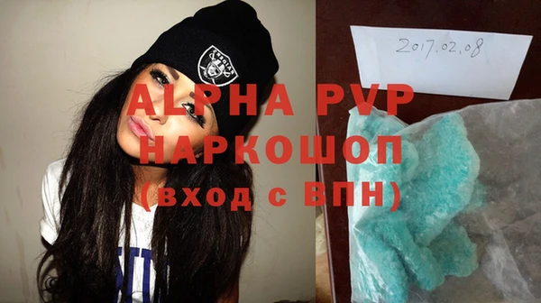 первитин Богданович