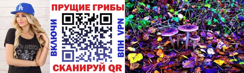 даркнет сайт  Берёзовка  Галлюциногенные грибы Psilocybine cubensis 
